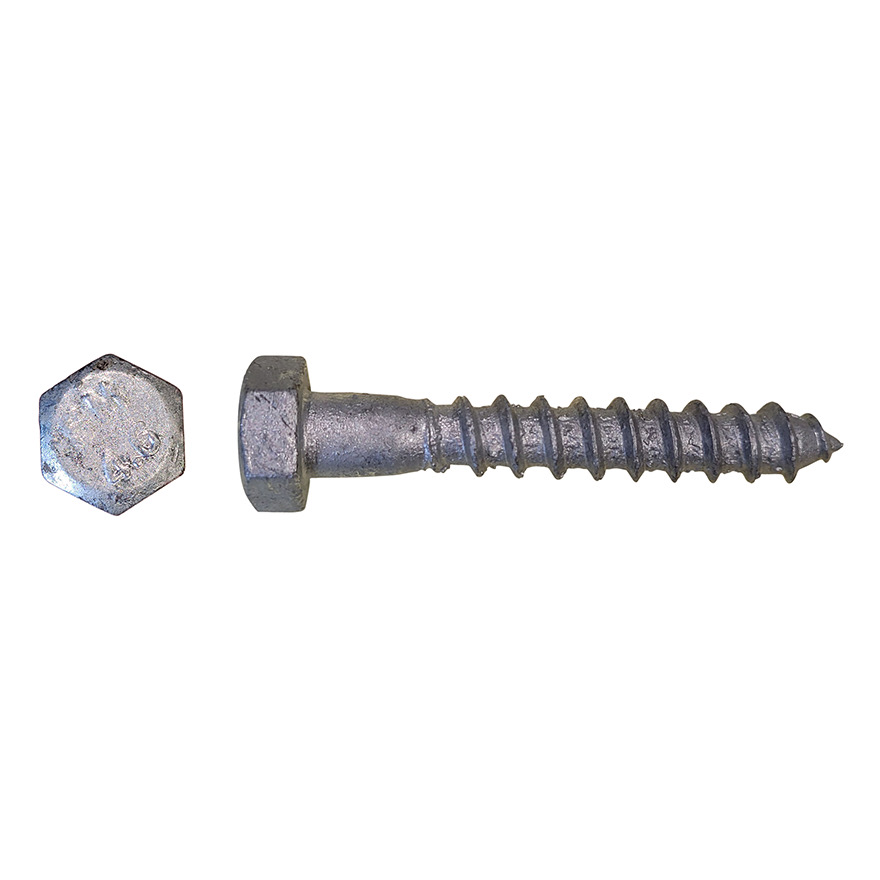 12x250 Hex Hd Coach Screw 316 Stainless